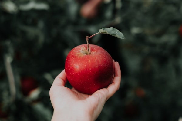 Kashmiri apples